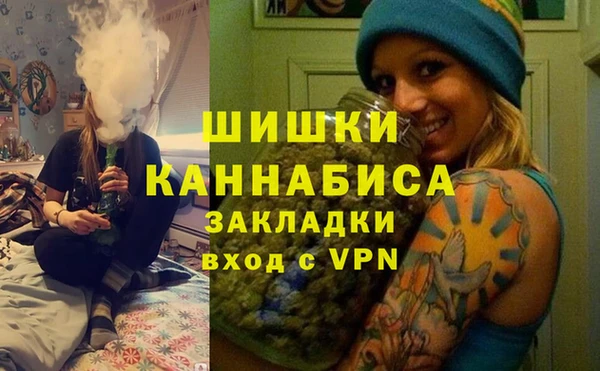гидра Кулебаки