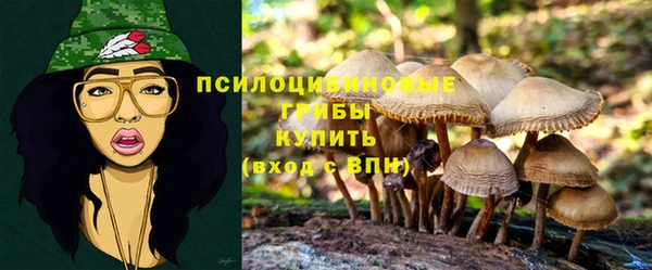гидра Кулебаки