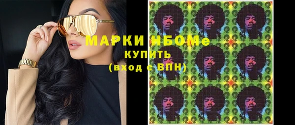 гидра Кулебаки
