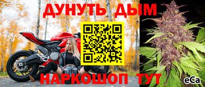 ешки Кингисепп