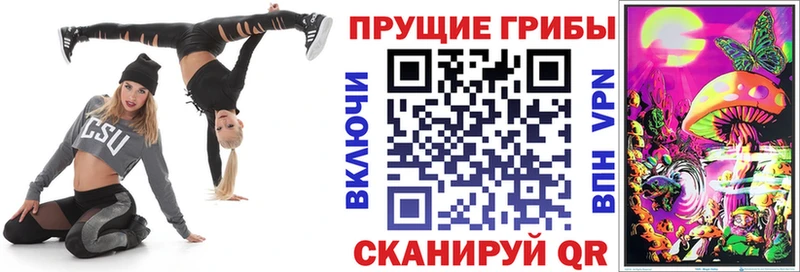 Галлюциногенные грибы Psilocybine cubensis Барабинск