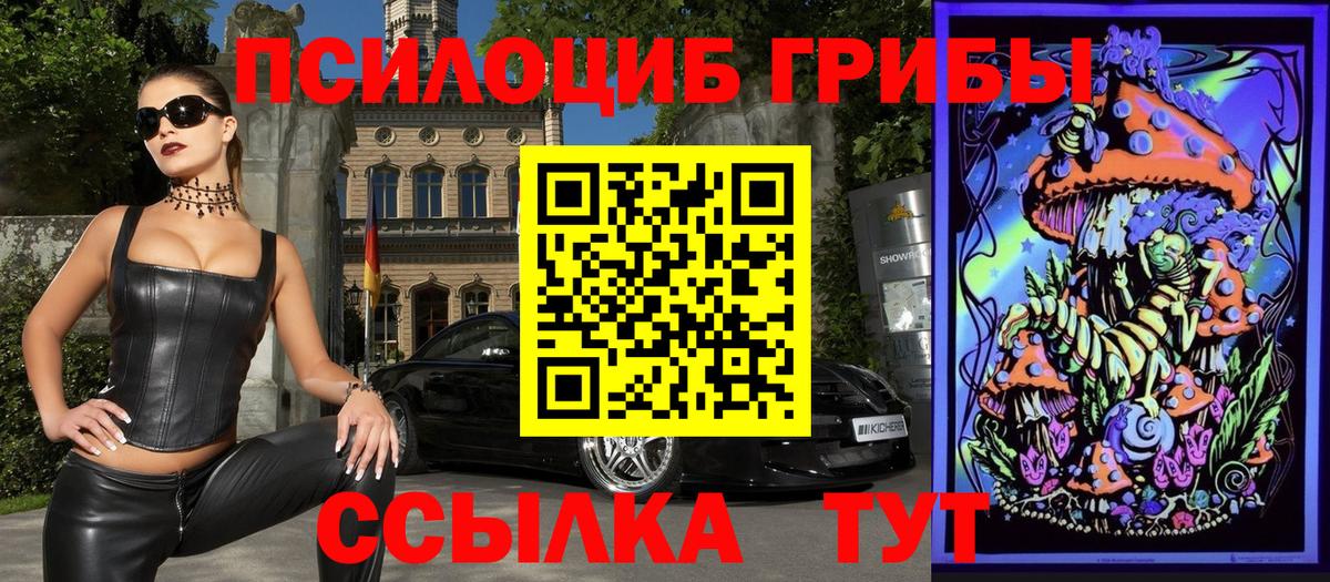 Галлюциногенные грибы прущие грибы Барабинск
